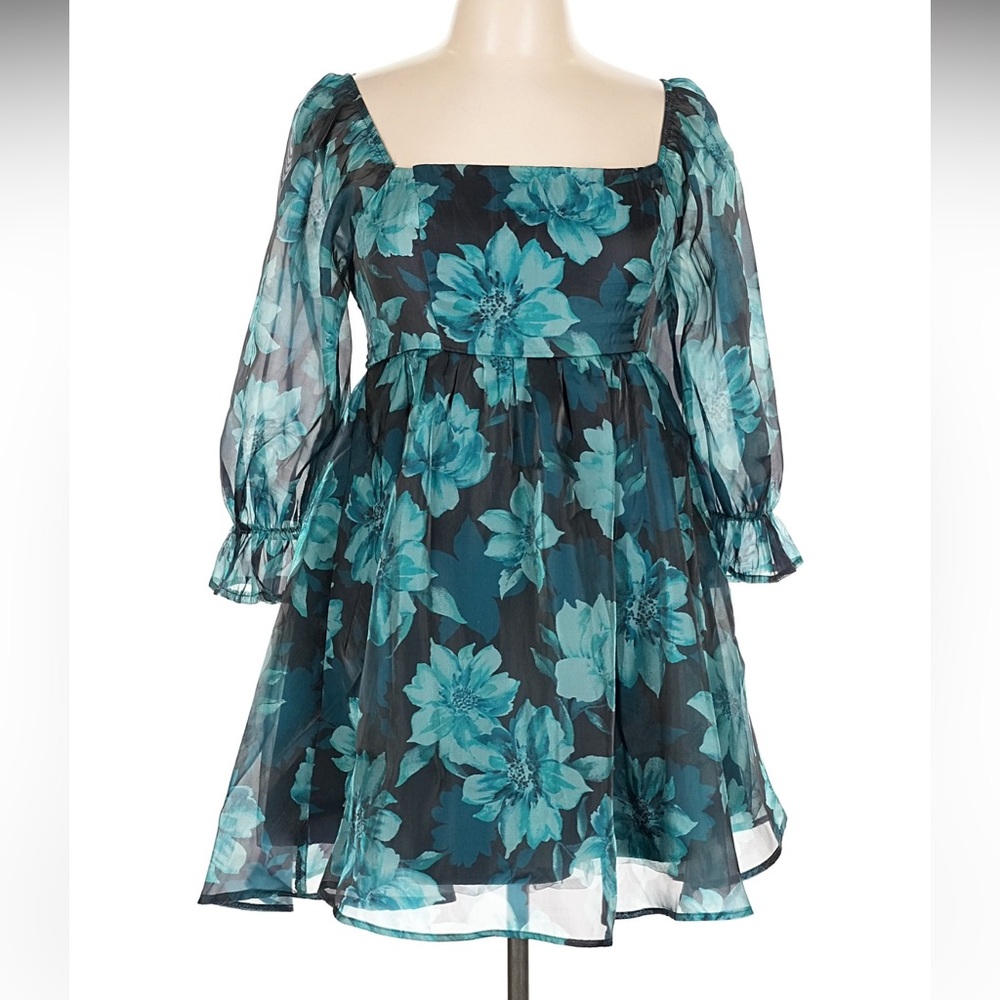 Thirty Thirty LA Blue Floral Organza Mini Dress XL NWT